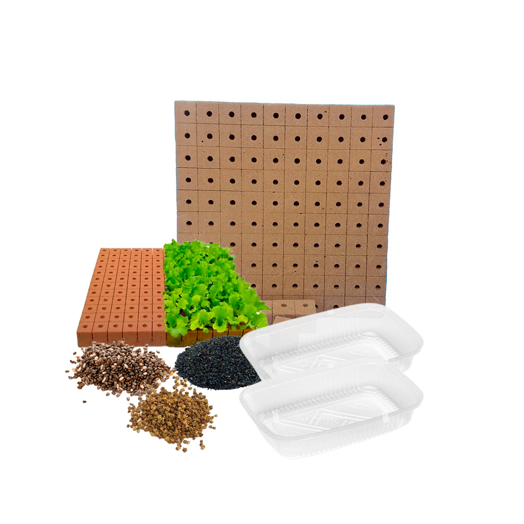 Kit De 2 Tarros Germinadores - Cultiva Brotes En Casa Fácilmente